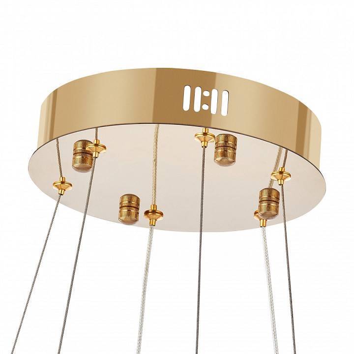 Подвесной светильник Arte Milano AM-Venezia диаметр 600/400 мм 311311/D600-D400 GD