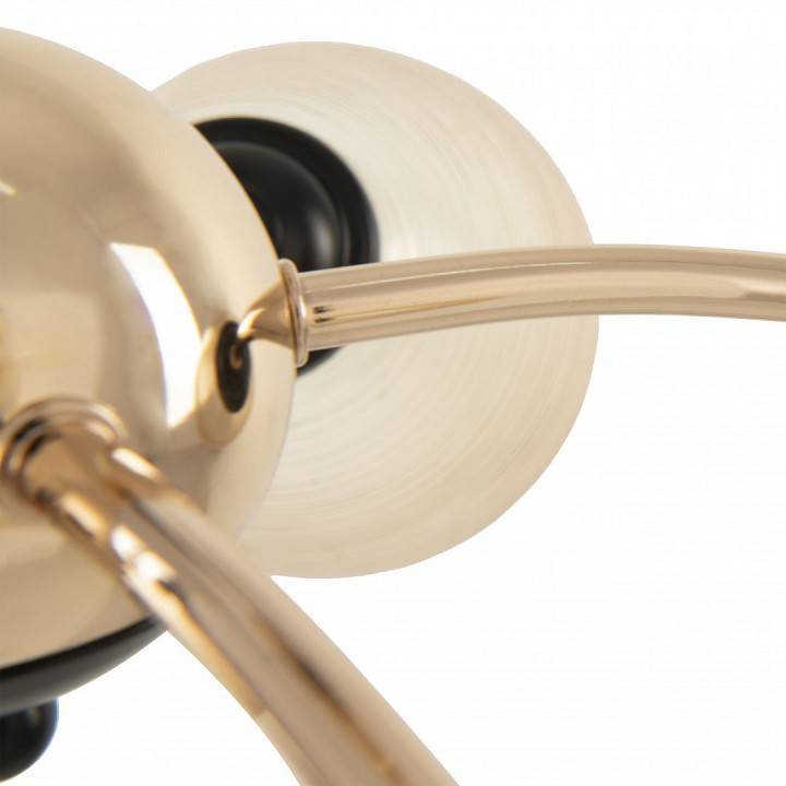 Люстра на штанге Arte Milano Napoli 329007/5 GD.BK