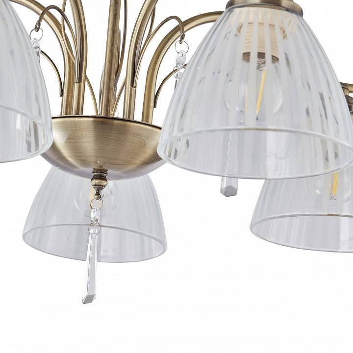 Подвесная люстра Arte Milano Amalfi-8656 5 ламп 338656/5 AB