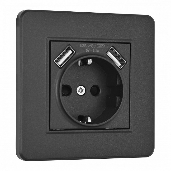 Розетка с заземлением и со шторкой и 2хUSB Arte Milano SET16-1 SET16-1-47-1 black