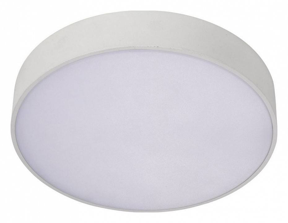 Накладной светильник Aployt Evon APL.0113.09.12