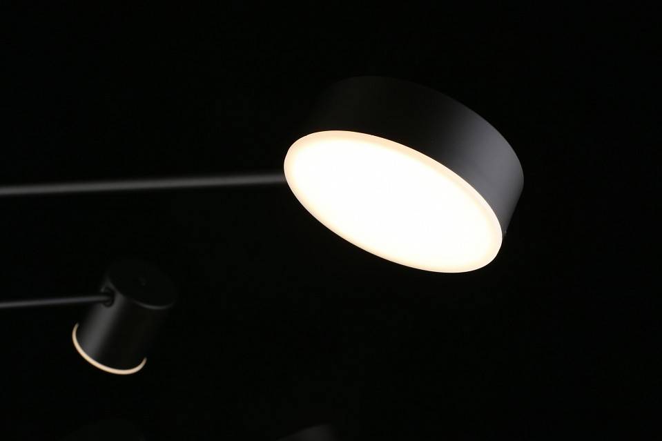 Люстра на штанге Aployt Frania APL.017.07.48