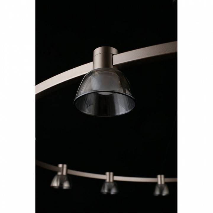 Подвесная люстра Aployt Rezeda APL.788.03.15