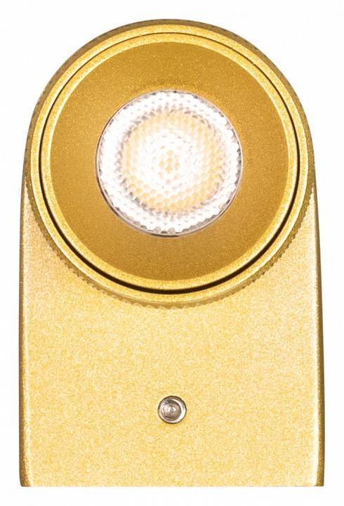 Бра Arlight SPICY 035541