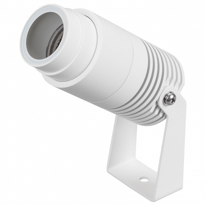 Прожектор настенно-потолочный Arlight RAY 042676(1)