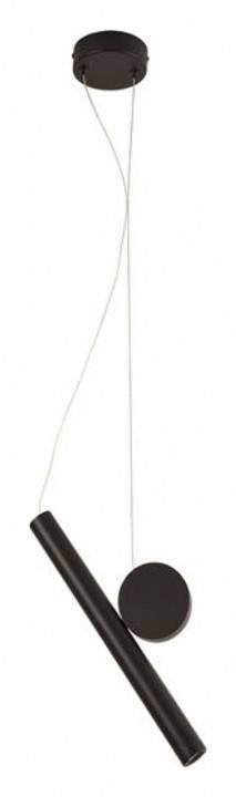 Подвесной светильник Arte Lamp Beemim 1xE27 черный A2090SP-1BK