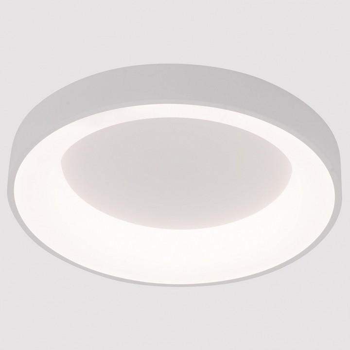 Накладной светильник Arte Lamp A2695PL-50WH