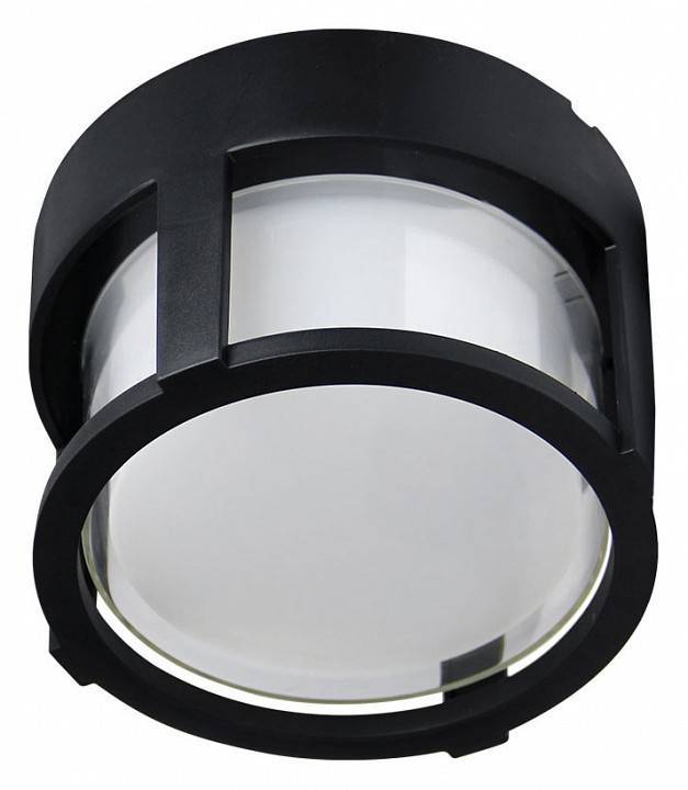 Светильник потолочный накладной Arte Lamp Ulysses 1xGU10 черный A6206PF-1BK