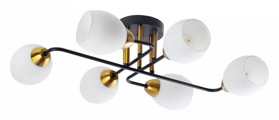 Потолочная люстра Arte Lamp Andrea A8141PL-6BK