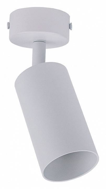 Спот Brizzi Aras BR08075