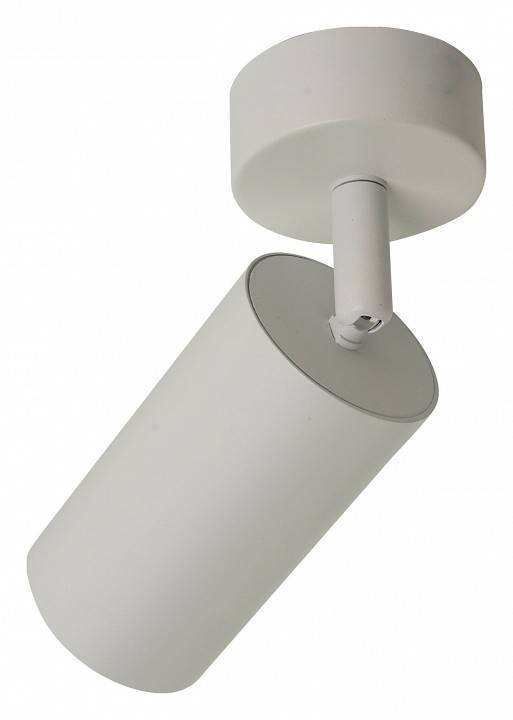 Спот Brizzi Aras BR08075