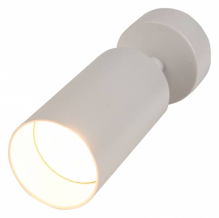 Спот Brizzi Aras BR08075