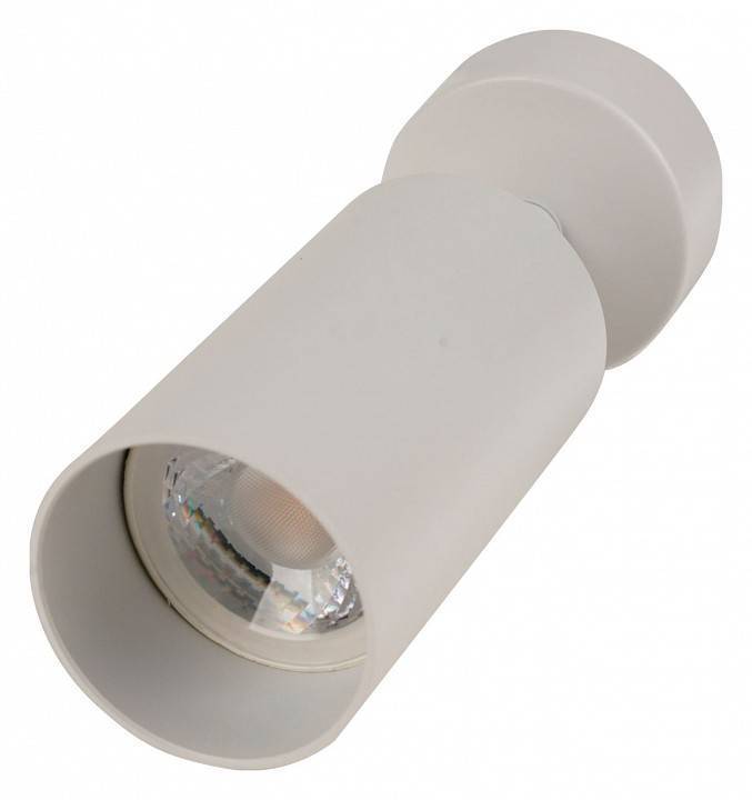 Спот Brizzi Aras BR08075