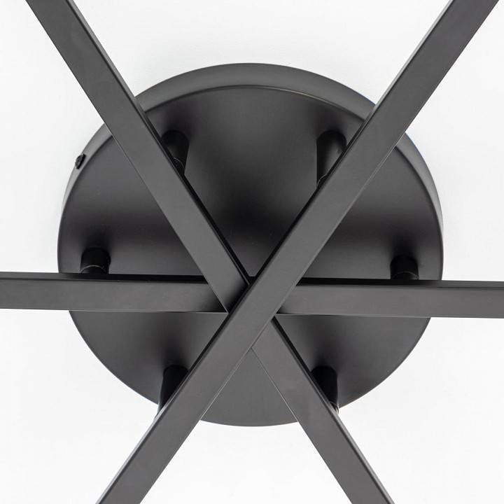 Потолочная люстра Citilux Glob CL209291