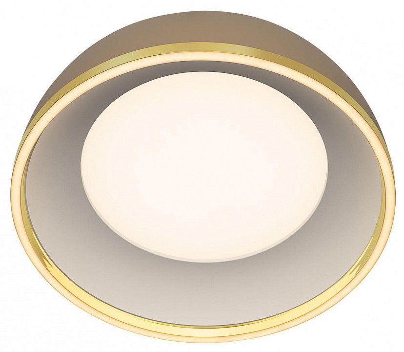 Накладной светильник Citilux FLOOM CL736152