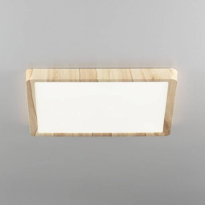 Накладной светильник Citilux Бейсик CL738K242V