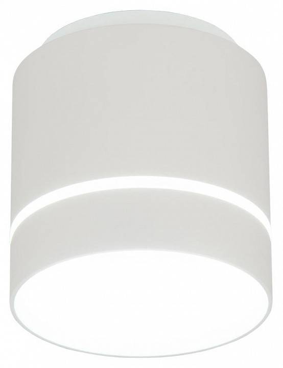 Накладной светильник Citilux Борн CL745020N