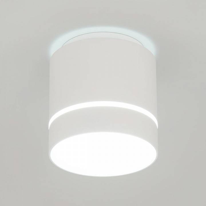 Накладной светильник Citilux Борн CL745020N