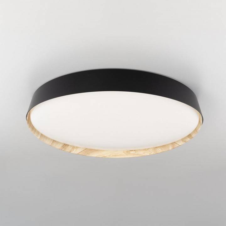 Накладной светильник Citilux BONNY CL754451G