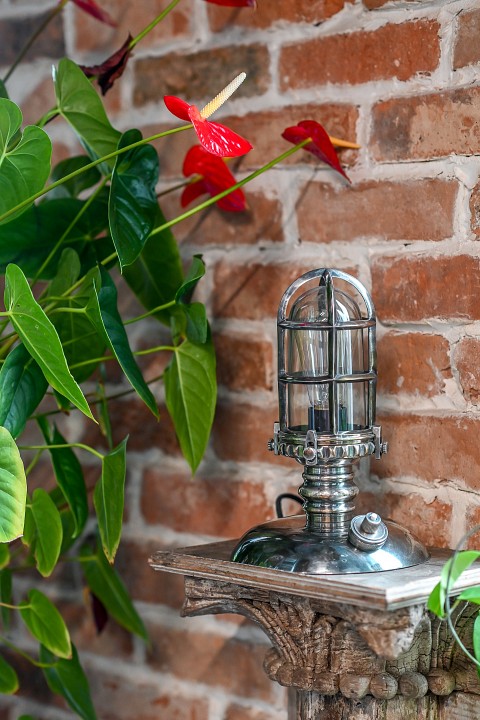 Настольная лампа декоративная Covali  NL-51633