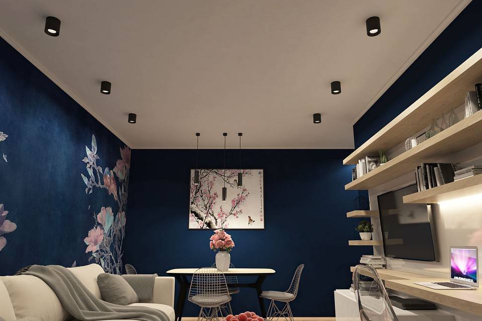 Накладной светильник Denkirs DK3040 DK3090-BK+WH