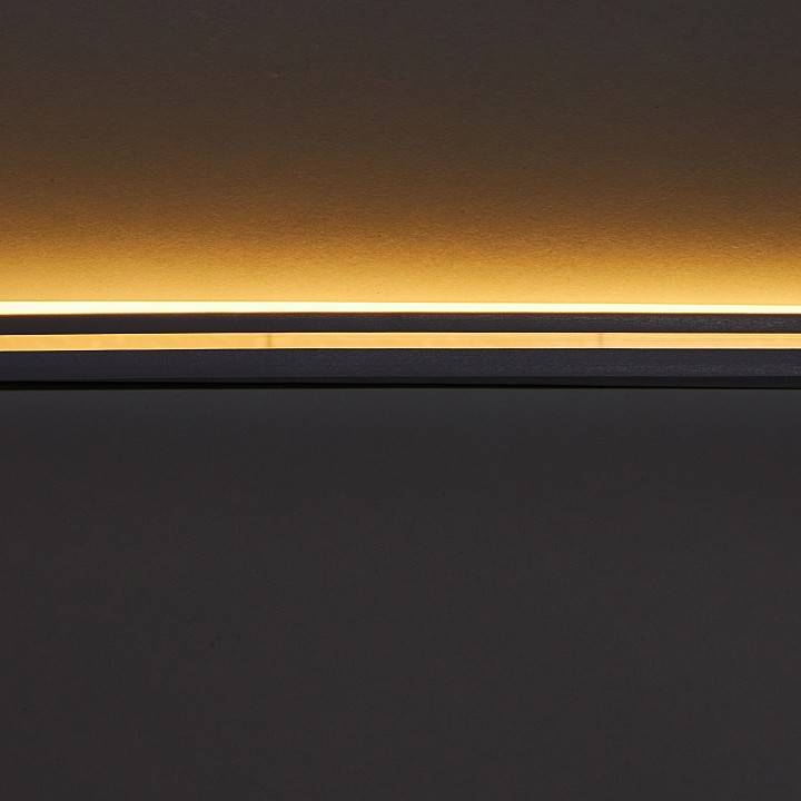 Шнур световой Eleganz  EL-N24-96WW