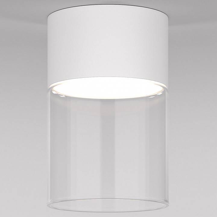 Накладной светильник Elektrostandard Lumen a064710