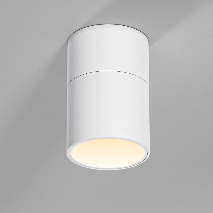 Накладной светильник Elektrostandard Rolly a067486