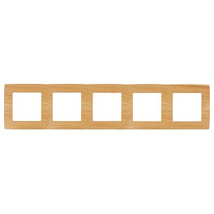 Рамка на 5 постов Эра Эра 12 12-5005-11