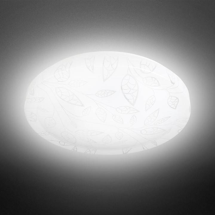 Светильник светодиодный накладной ЭРА SPB-6 24 Вт 4000К SPB-6-24-4K (C)