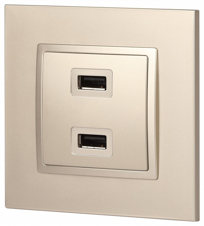 Розетка 2хUSB type A без рамки Эра Эра Elegance 14-4110-04