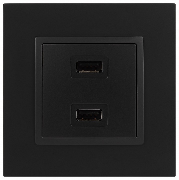 Розетка 2хUSB type A без рамки Эра Эра Elegance 14-4110-05