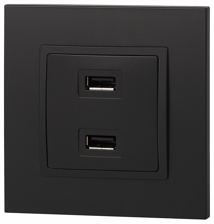 Розетка 2хUSB type A без рамки Эра Эра Elegance 14-4110-05