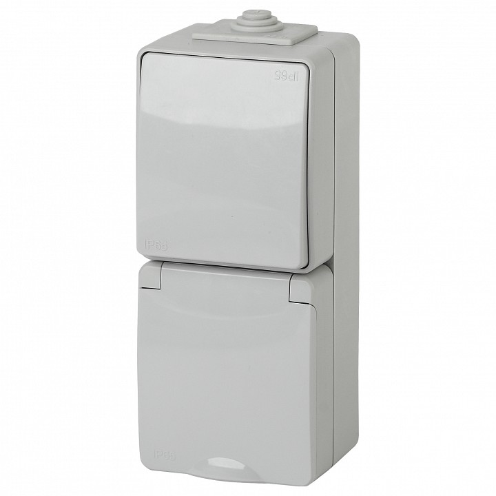 Блок с розеткой и выключателем Эра Эра Эксперт 11-7607-03