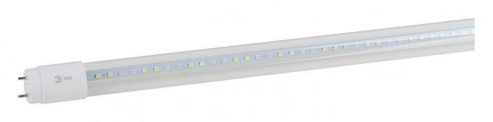 Лампа светодиодная Эра T8 G13 18 Вт 1200 K XGYT8B104-E18 F