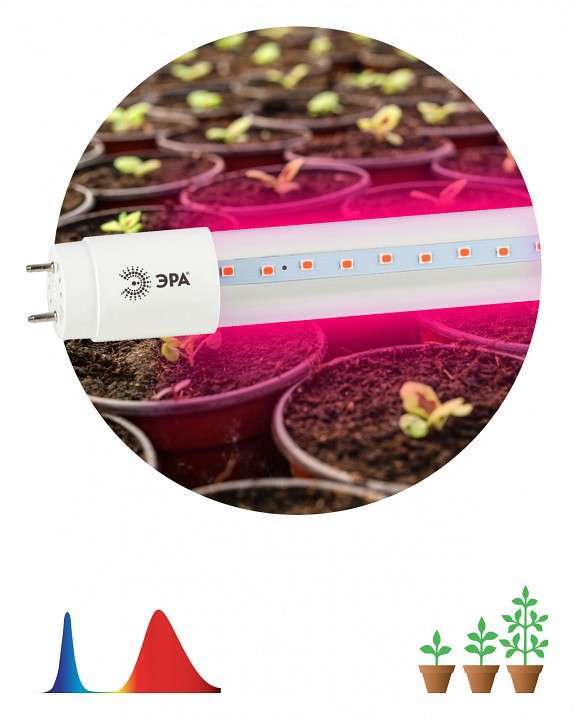 Лампа светодиодная Эра T8 G13 18 Вт 1200 K XGYT8B104-E18 F