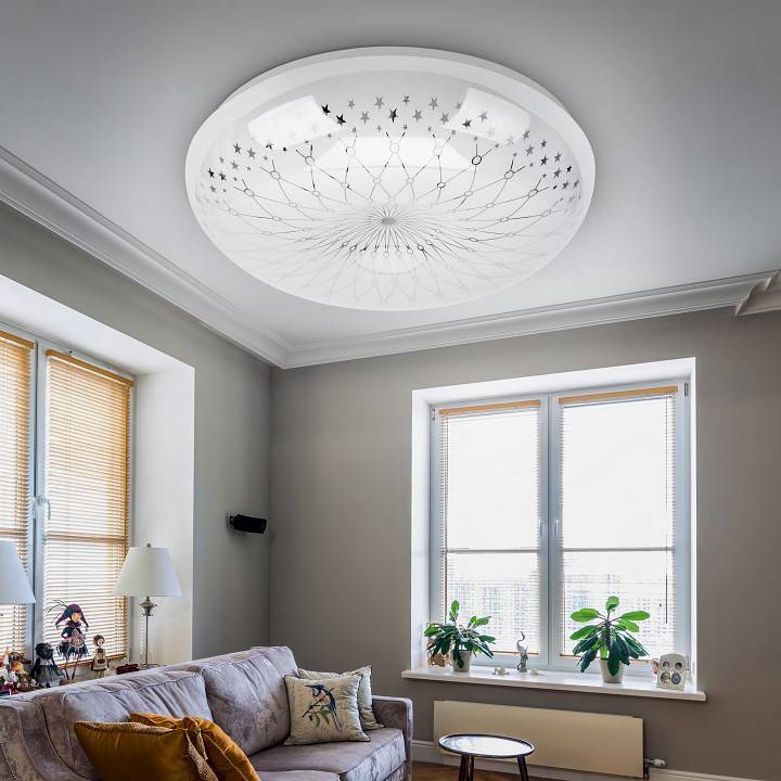 Светильник накладной ЭРА SPB-6 Feya 24 Вт 6500 К SPB-6-24-6,5K Feya