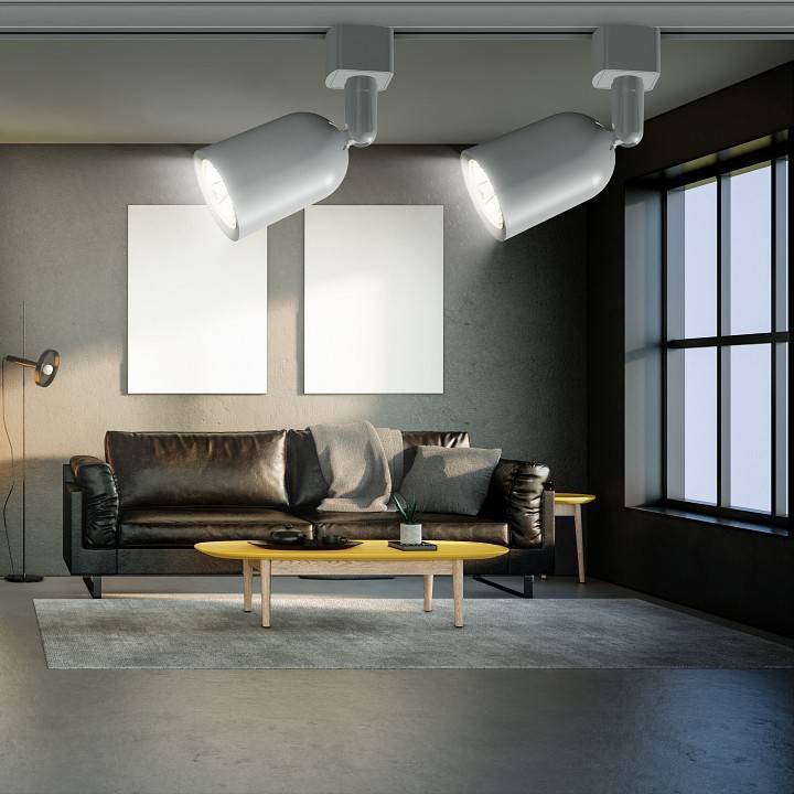 Светильник на штанге Эра  TR41-GU10 WH