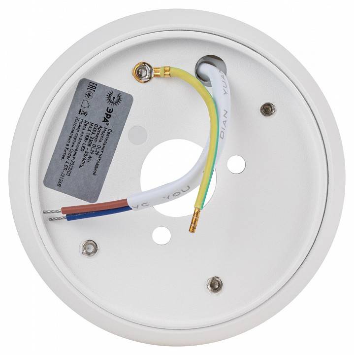 Светильник накладной ЭРА OL29 белый Б0055582