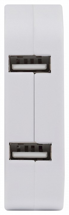 Разветвитель Эра  SPF-2-FL-USB