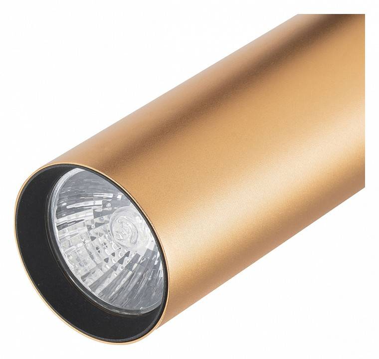 Светильник на штанге Escada 20001 2xE27 20001TRA/02 BR