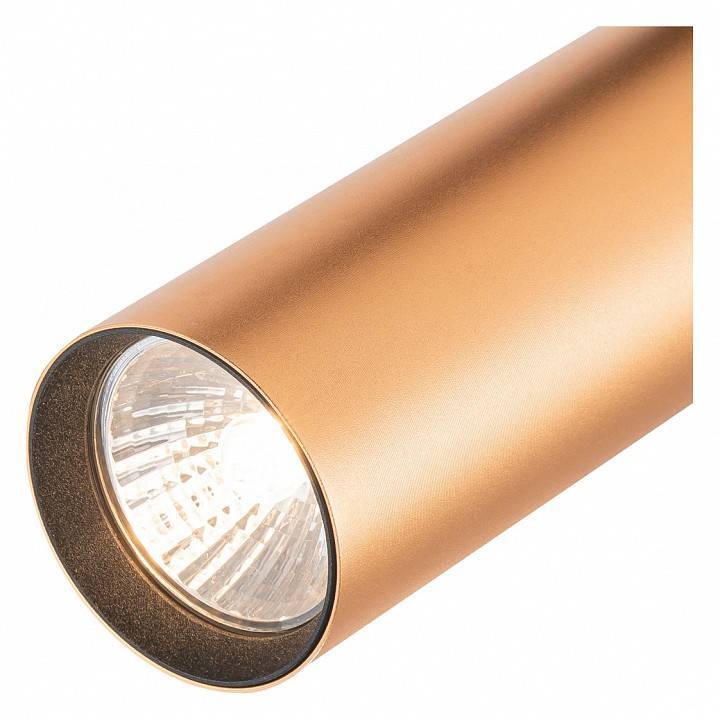 Светильник на штанге Escada 20001 2xE27 20001TRA/02 BR