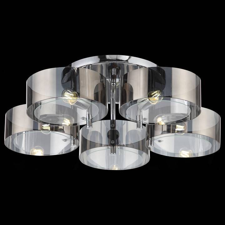 Накладной светильник EVOLUCE Foresta 5 x E14 SL483.702.05