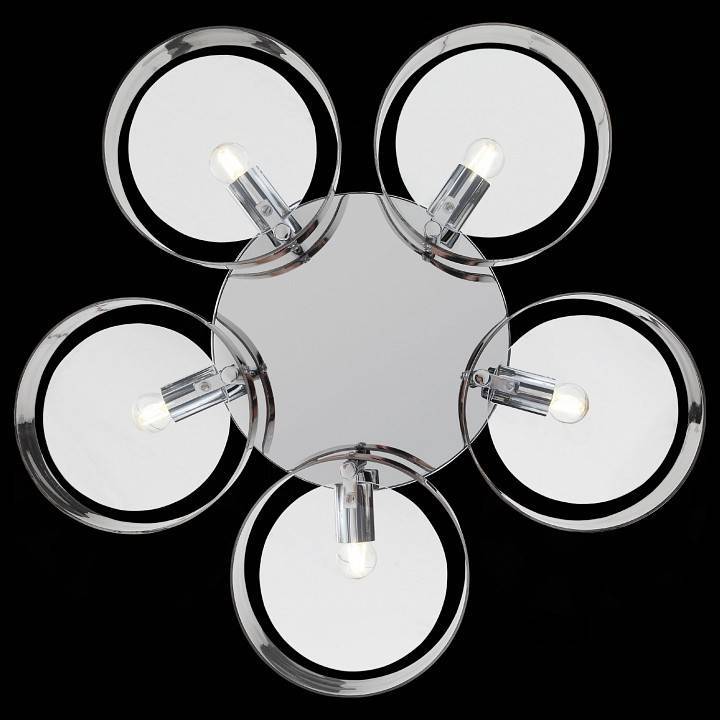 Накладной светильник EVOLUCE Foresta 5 x E14 SL483.702.05