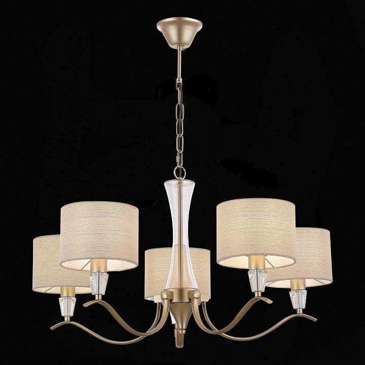 Подвесная люстра EVOLUCE Cassia 5xE14 SLE1126-203-05