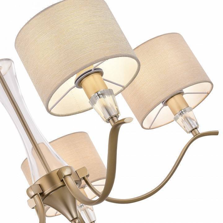 Подвесная люстра EVOLUCE Cassia 5xE14 SLE1126-203-05