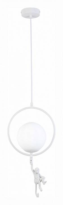 Подвесной светильник EVOLUCE Tenato SLE115113-01