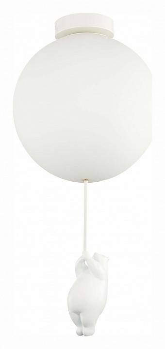 Накладной светильник EVOLUCE Modena SLE115412-01