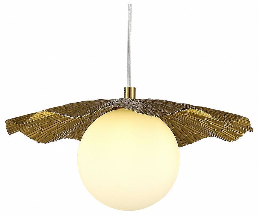 Подвесной светильник Evoluce Lorea 1 лампа SLE1196-303-01