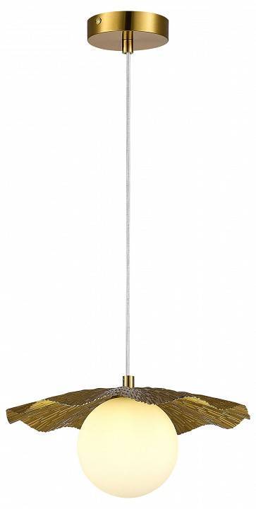 Подвесной светильник Evoluce Lorea 1 лампа SLE1196-303-01